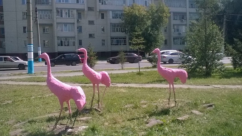 В Петропавловске покрасили розовых фламинго