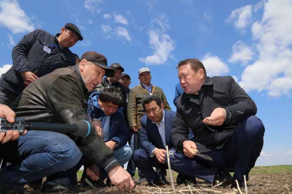 На севере Казахстана будет запущен крупнейший мясокомбинат в Центральной Азии