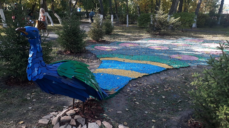 В городском парке Петропавловска появился павлин