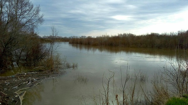 На севере Казахстана синоптики предупредили о подъёме воды в Ишиме