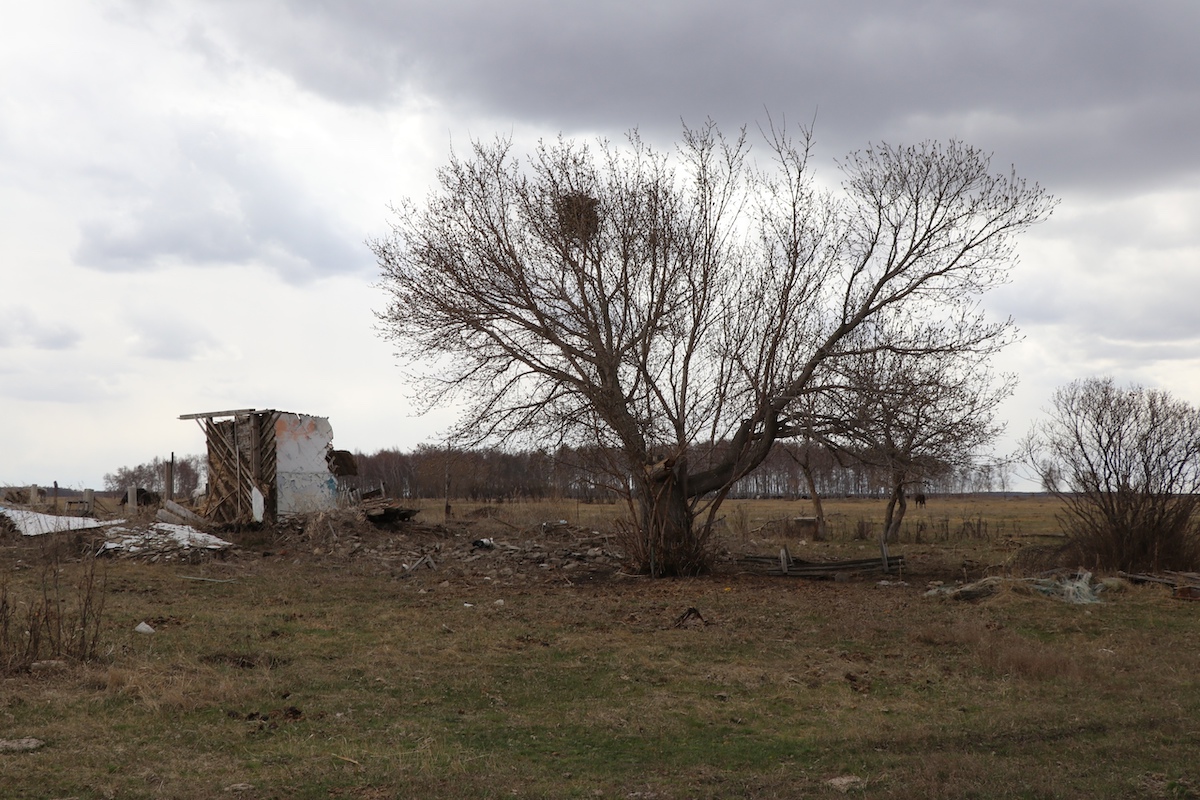 Упраздненные и опустевшие: сёла Орталык и Жаналык на севере Казахстана