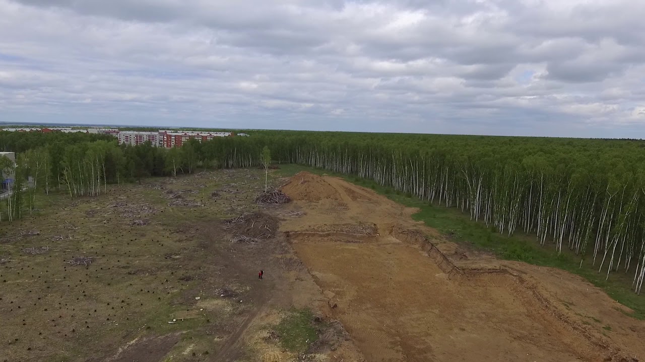 Пустыня: кто съел лес в Петропавловске