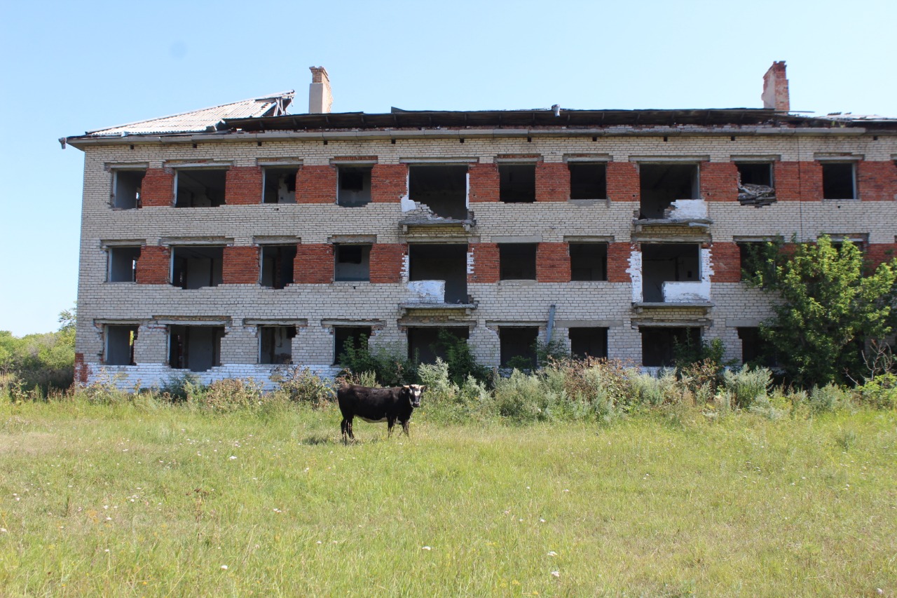 Пустые дома поселка Шагалалы в Северном Казахстане