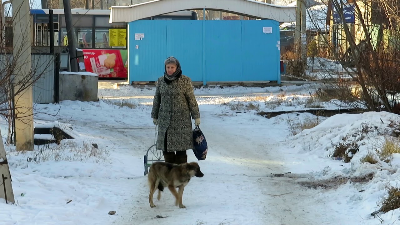 Улицы Петропавловска, где царит «легкая разруха»: Медведева