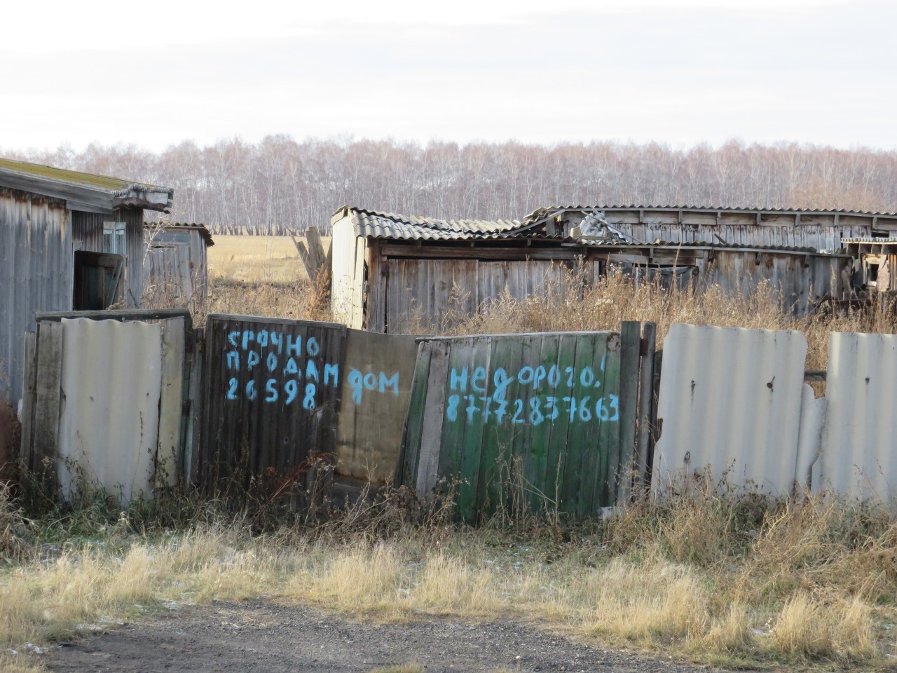 Как исчезают села на севере Казахстана