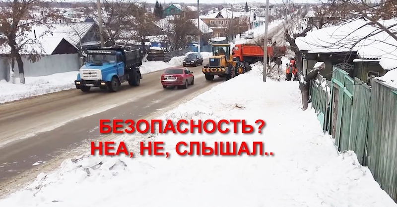 Петропавловская резня бензопилой: как НЕ надо пилить деревья!