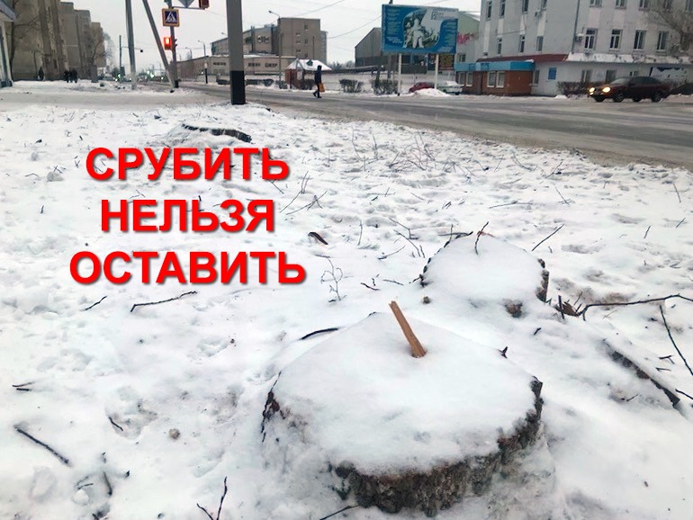 Улицу Горького в Петропавловске «стригут» налысо