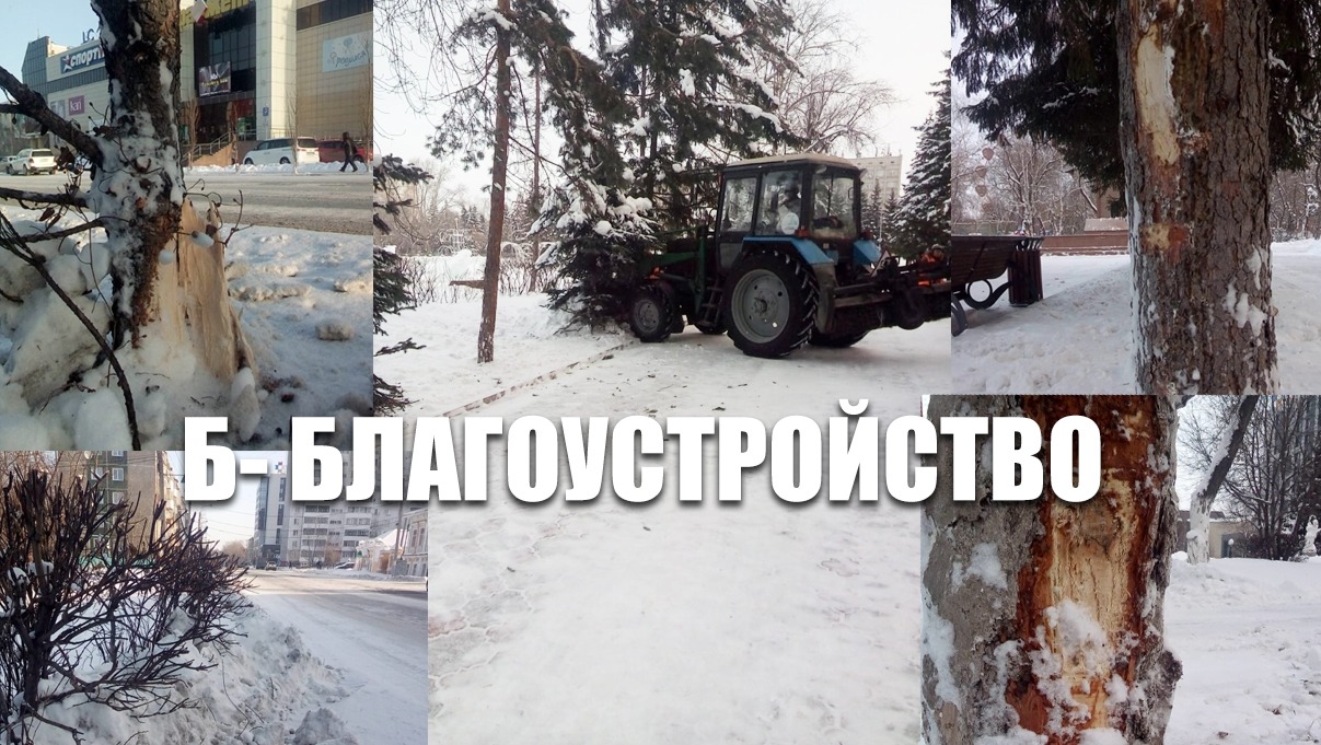 В Петропавловске чистят снег так, что деревья трещат