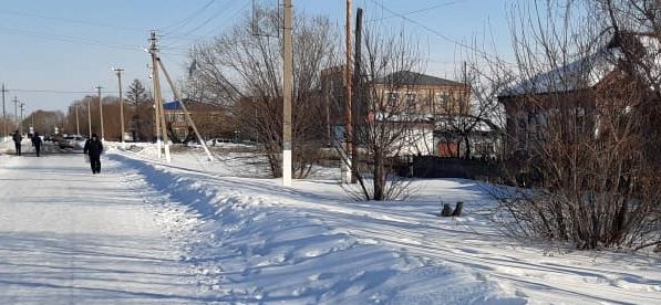 Ситуация с коронавирусом в районах Северо-Казахстанской области на 11 декабря