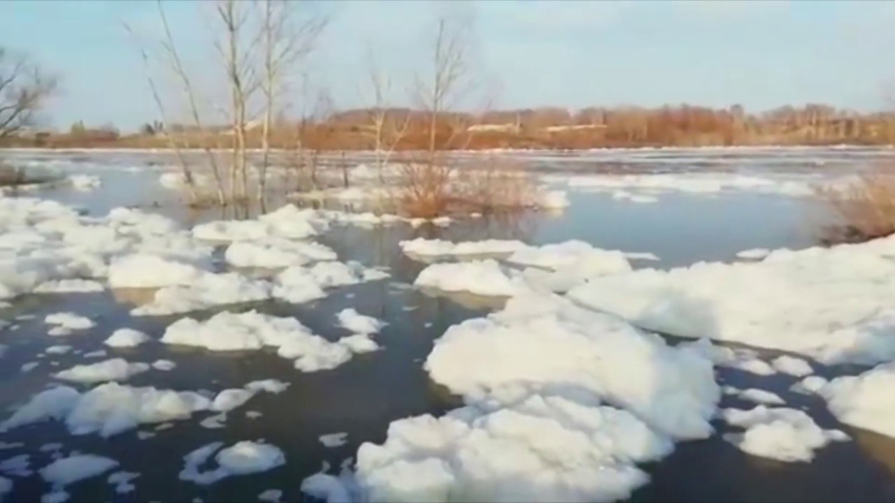 Ишим на севере Казахстана выходит из берегов