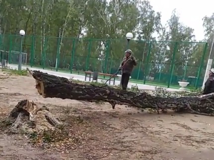 В селе на севере Казахстана лес вырубили ради безопасности