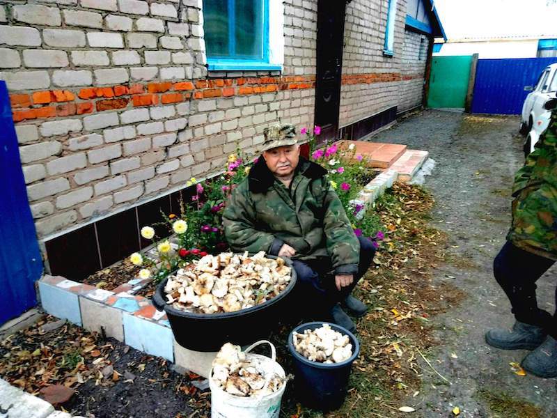 Жители деревень на севере Казахстана сделали запасы на зиму