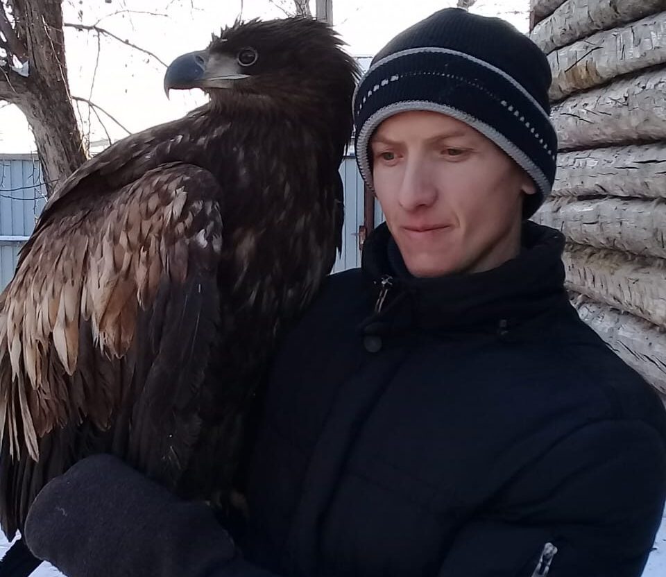 На севере Казахстана сельчанин спас краснокнижного орла