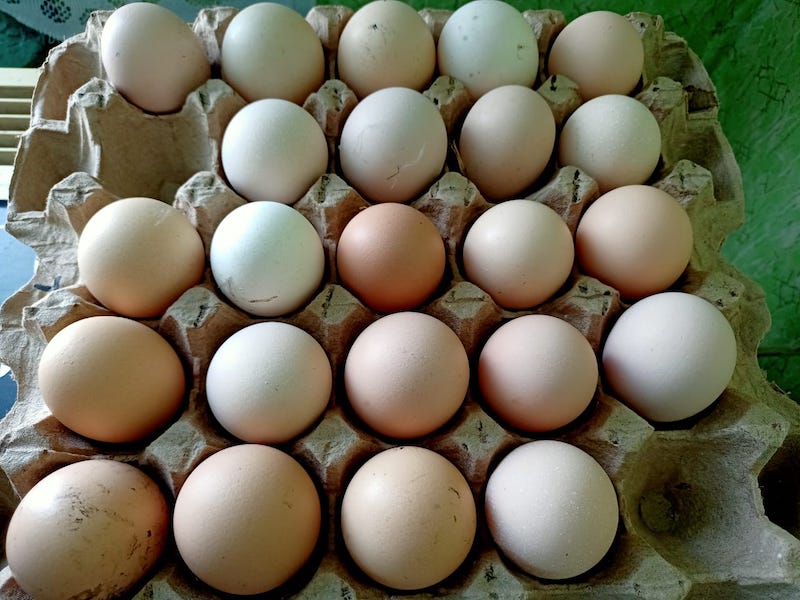 Почему яйца и мясо на севере Казахстана не могут не дорожать