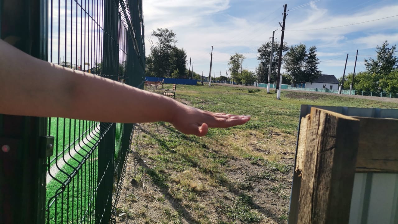 На севере Казахстана в странном заборе сделали калитку на полкоровы