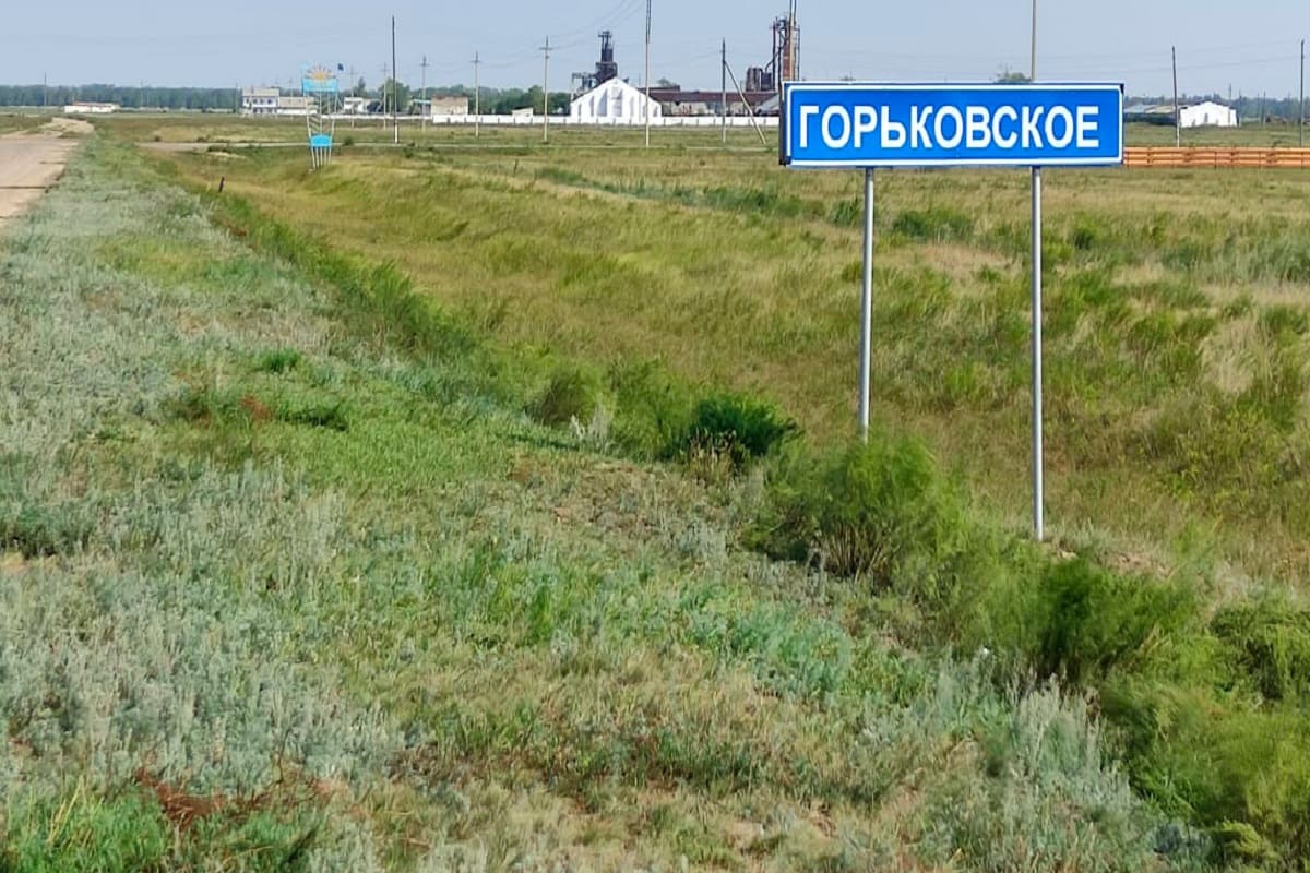 Акжарский район Северо-Казахстанской области поделили на зоны из-за сибирской язвы