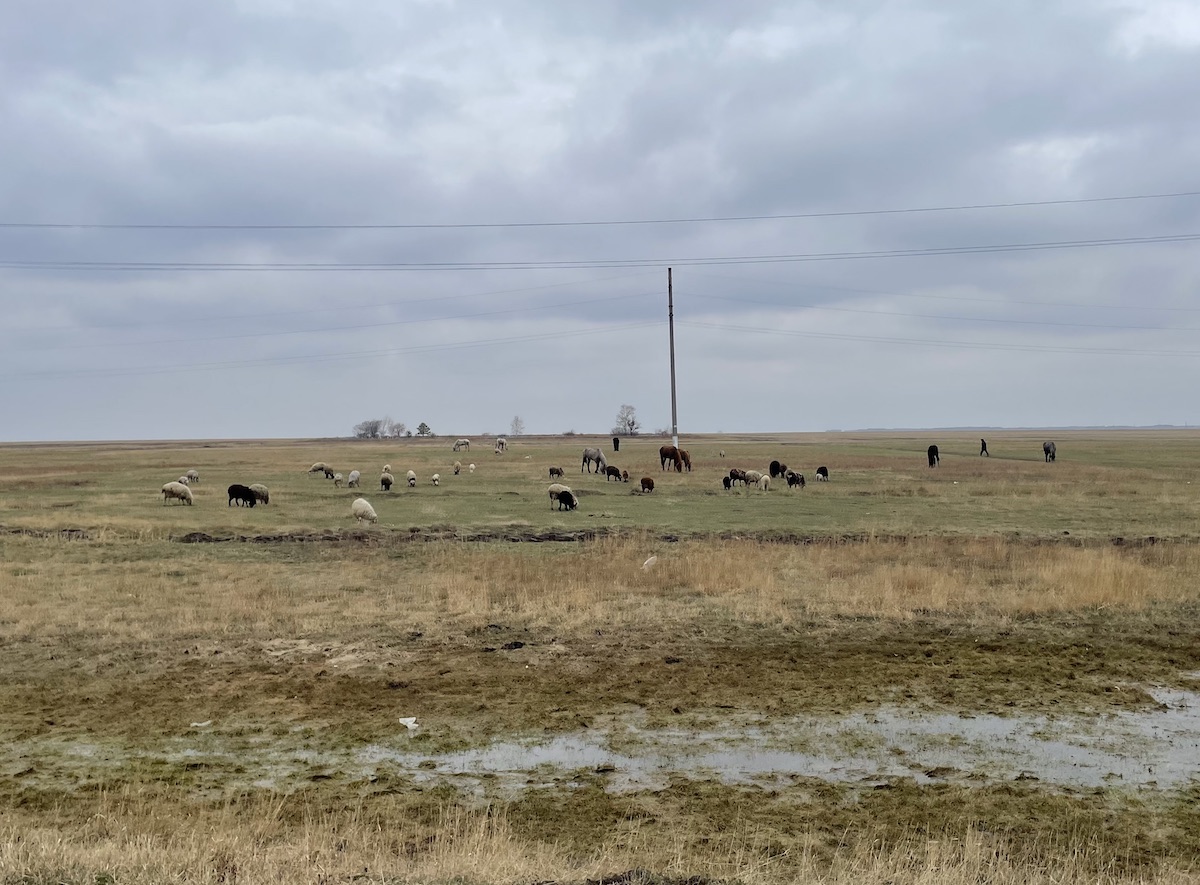 деревня в казахстане