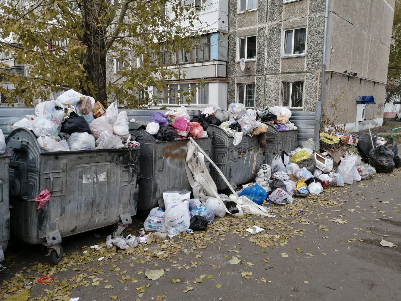 За год на севере Казахстана собрали 78 тысяч тонн бытовых отходов