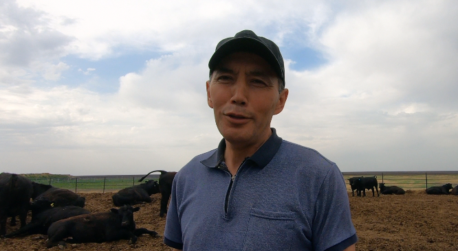Аскар Бекенов, заведующий племенной фермы ангусов