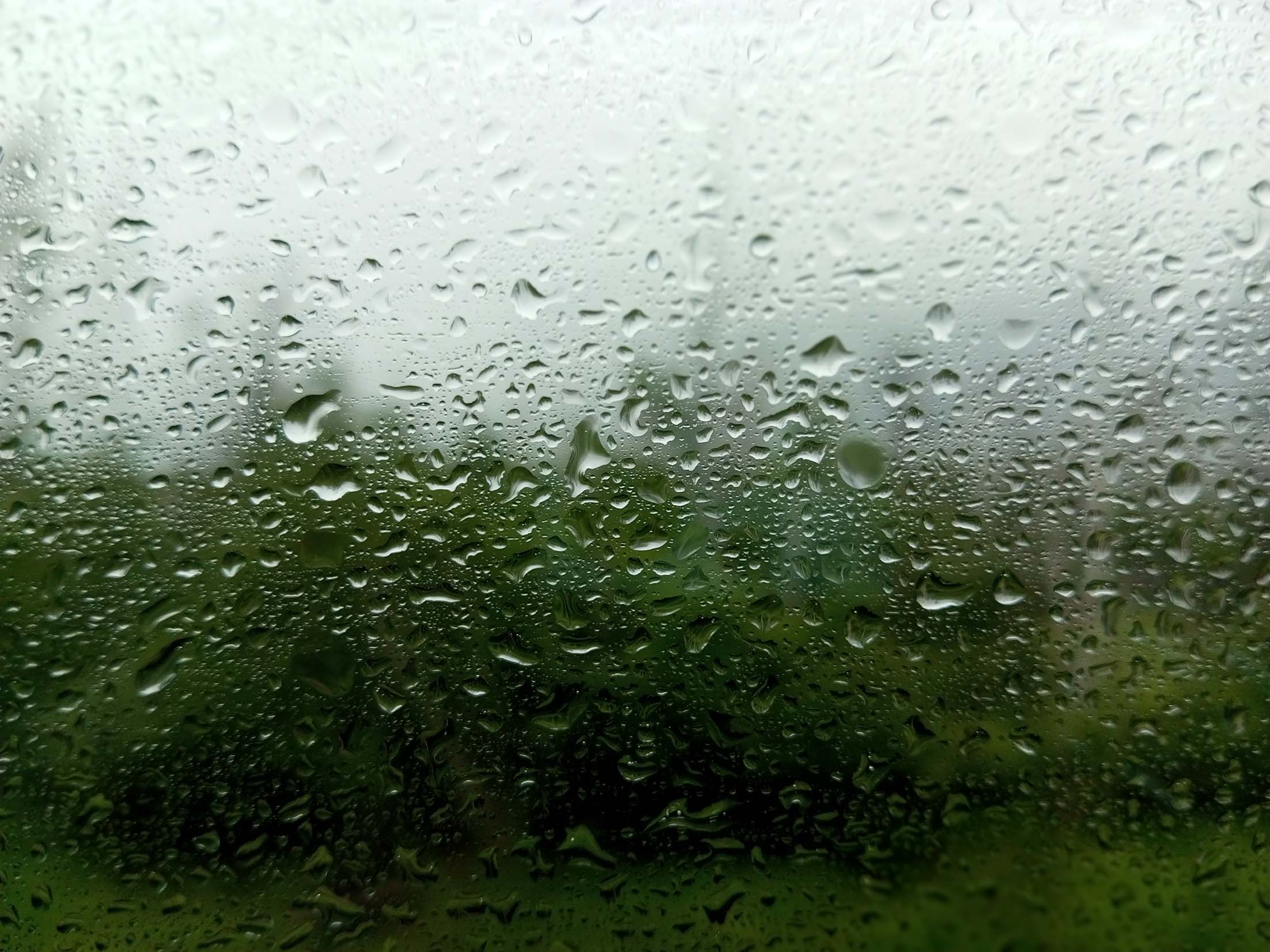 Жаркий и постоянно влажный климат. Грязная гроза. Humid weather. Теплый влажный климат.