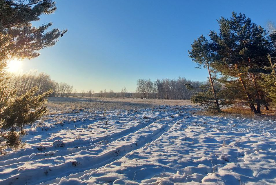 Зима на севере Казахстана. Вновь похолодает: Татарстан накроет Сибирский антициклон.