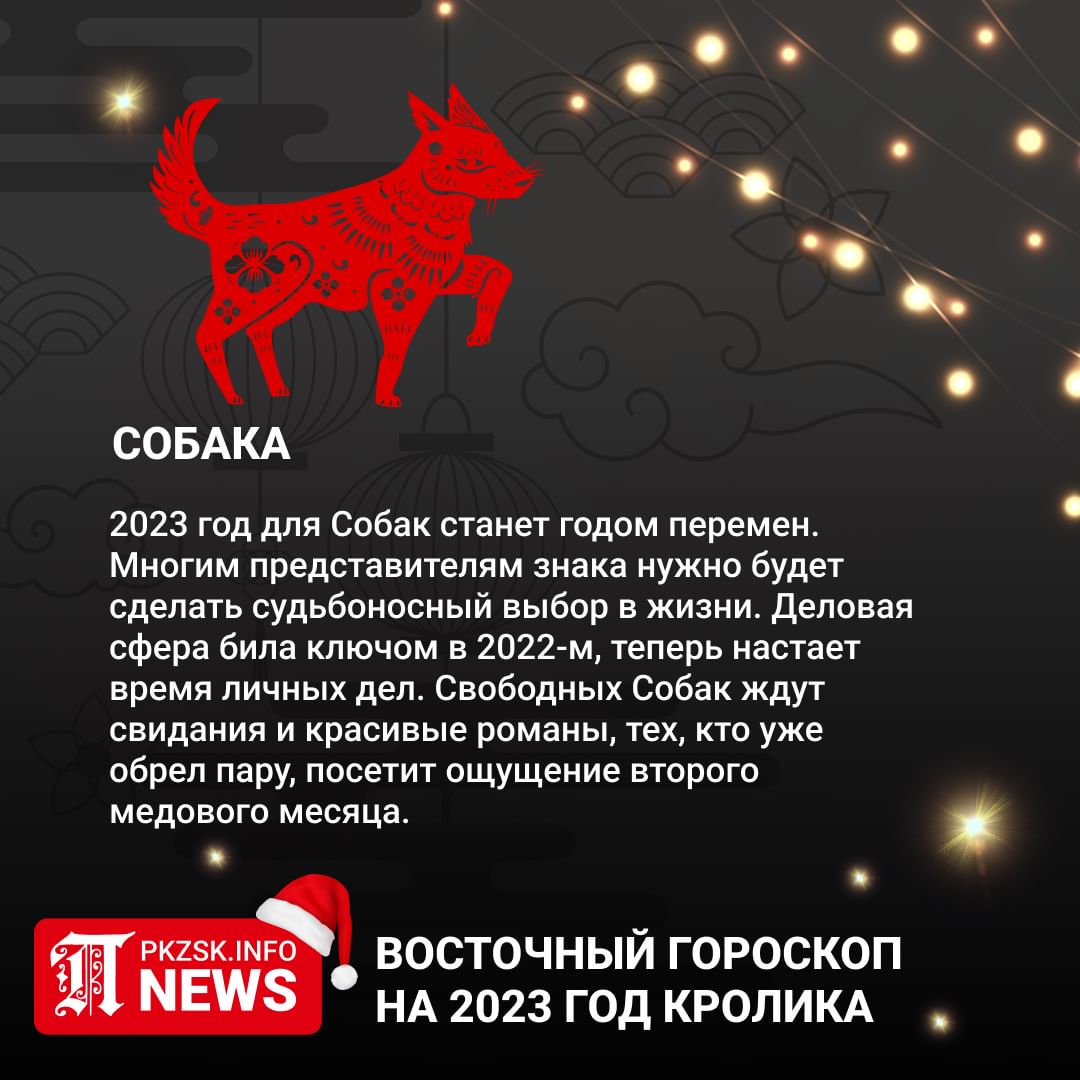 Год собаки 2023