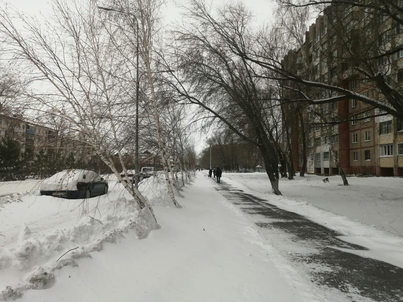 снег улица деревья
