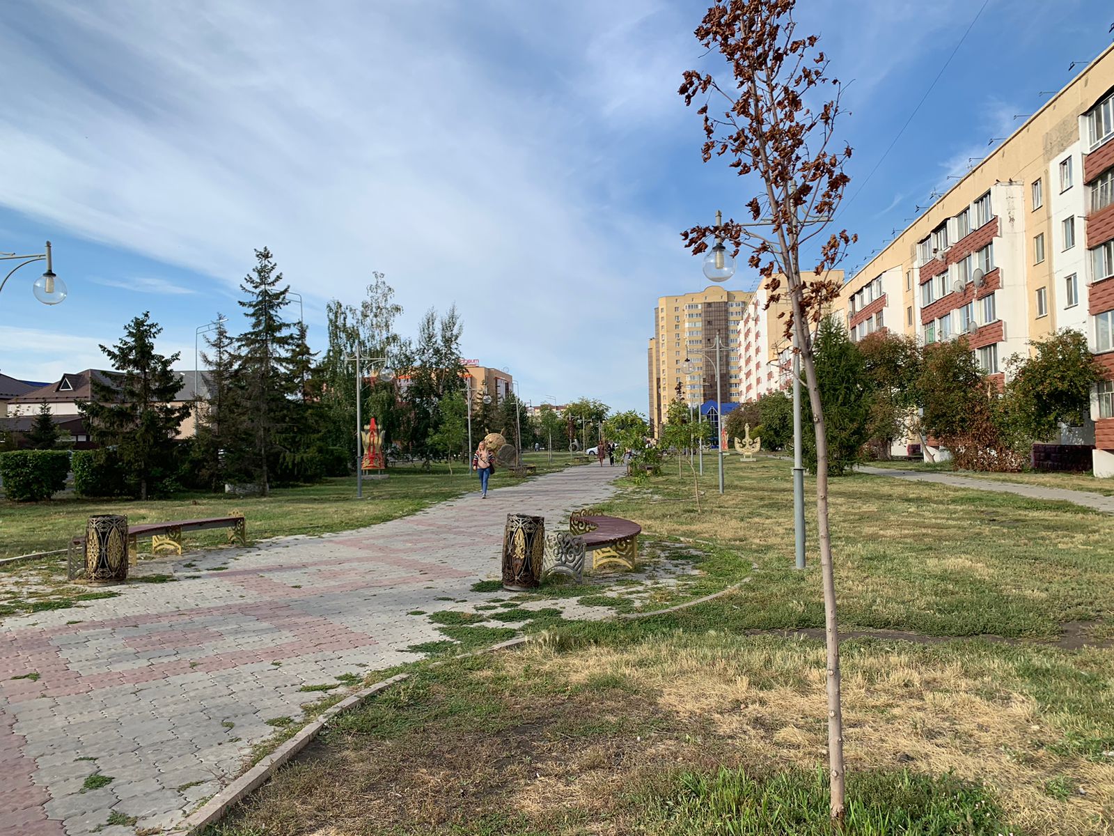 Опыт Петропавловска в озеленении города и вырубке клёнов изучали в Екатеринбурге