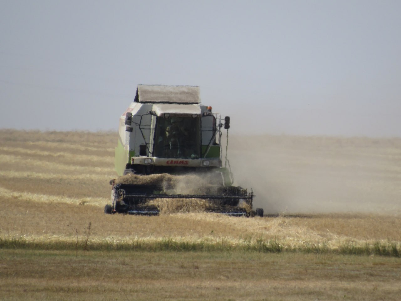 уборка пшеница поле урожай