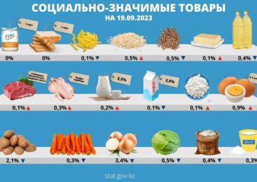 Социально-значимые продукты в Казахстане подешевели еще на 0,1%