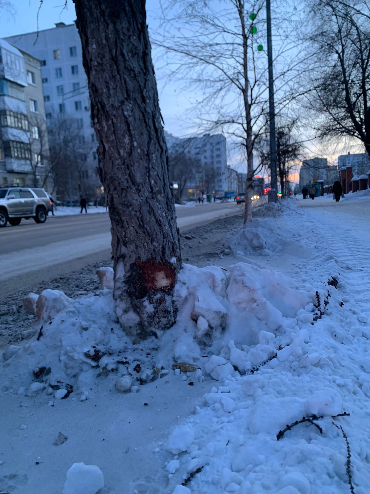 Закрытые дороги в казахстане сегодня казавтожол