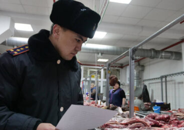 На севере Казахстана полицейские разыскивают пропавший скот